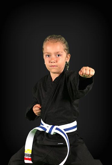 Fremont Martial Arts logo