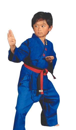 Kids Karate Taekwondo Fitness Martial Arts Judo
