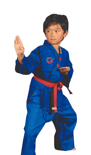 Kids Karate Taekwondo Fitness Martial Arts Judo